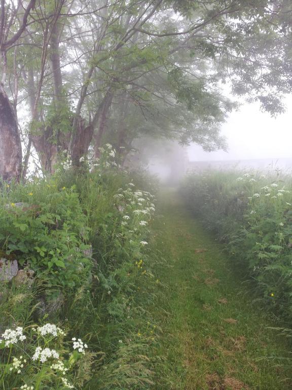 Auberge La Bergerie Sainte-Marie-de-Campan Eksteriør billede